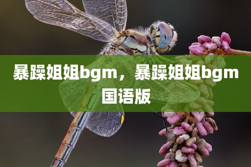 暴躁姐姐bgm，暴躁姐姐bgm国语版