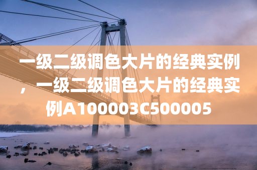 一级二级调色大片的经典实例，一级二级调色大片的经典实例A100003C500005