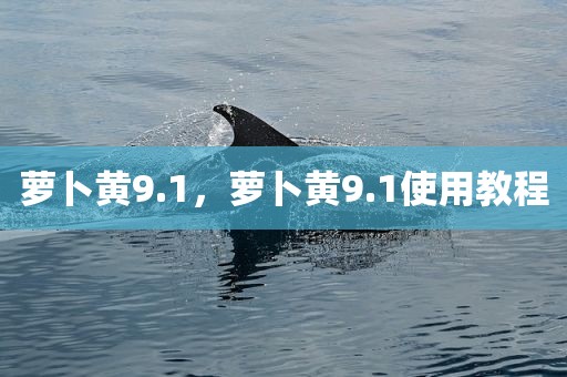 萝卜黄9.1，萝卜黄9.1使用教程