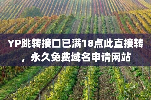 YP跳转接口已满18点此直接转，永久免费域名申请网站