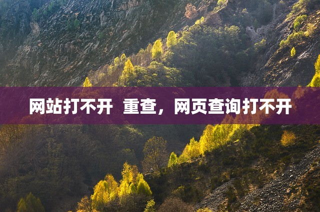 网站打不开  重查，网页查询打不开