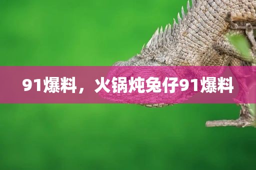 91爆料，火锅炖兔仔91爆料