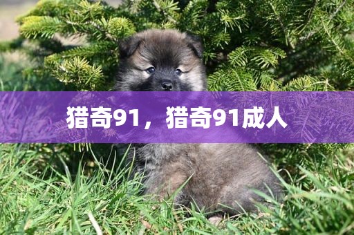 猎奇91，猎奇91成人