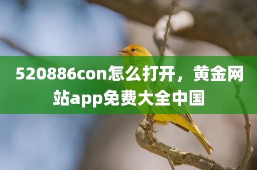 520886con怎么打开，黄金网站app免费大全中国