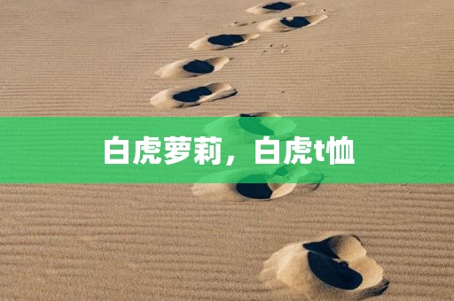 白虎萝莉，白虎t恤