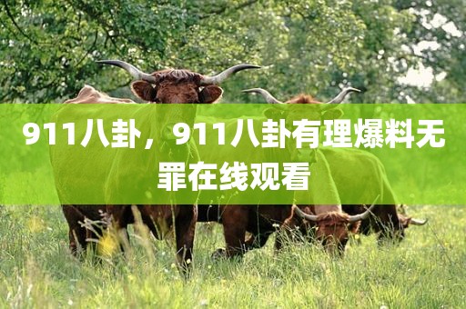 911八卦，911八卦有理爆料无罪在线观看