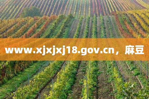 www.xjxjxj18.gov.cn，麻豆
