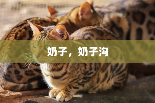 奶子，奶子沟