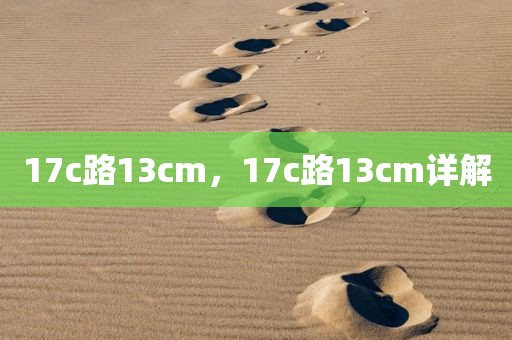 17c路13cm，17c路13cm详解