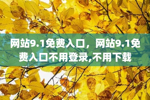 网站9.1免费入口，网站9.1免费入口不用登录,不用下载