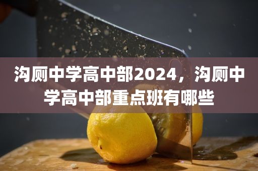 沟厕中学高中部2024，沟厕中学高中部重点班有哪些