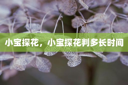 小宝探花，小宝探花判多长时间