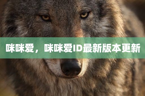 咪咪爱，咪咪爱ID最新版本更新