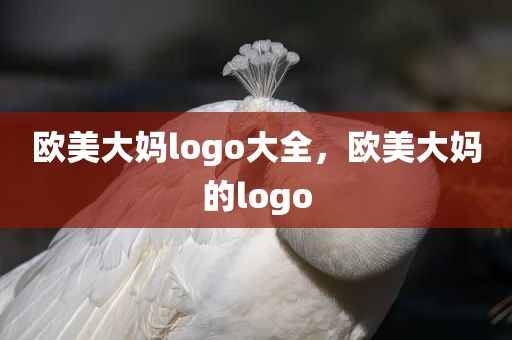 欧美大妈logo大全，欧美大妈的logo