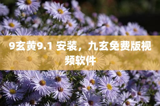 9玄黄9.1 安装，九玄免费版视频软件