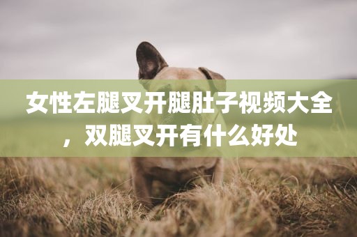 女性左腿叉开腿肚子视频大全，双腿叉开有什么好处