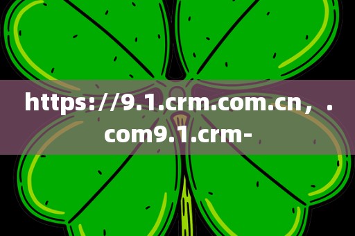 https://9.1.crm.com.cn，.com9.1.crm-
