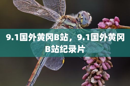 9.1国外黄冈B站，9.1国外黄冈B站纪录片