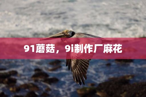 91蘑菇，9i制作厂麻花