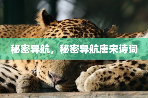 秘密导航，秘密导航唐宋诗词