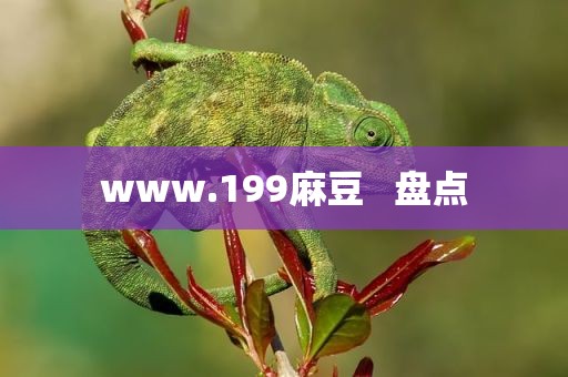 www.199麻豆   盘点