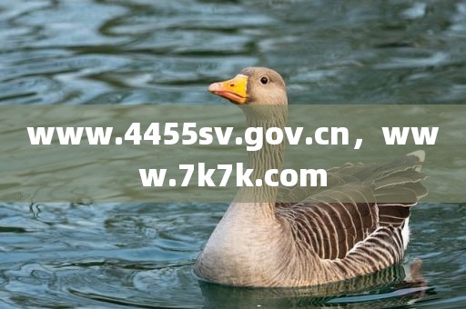 www.4455sv.gov.cn，www.7k7k.com