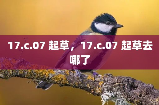 17.c.07 起草，17.c.07 起草去哪了