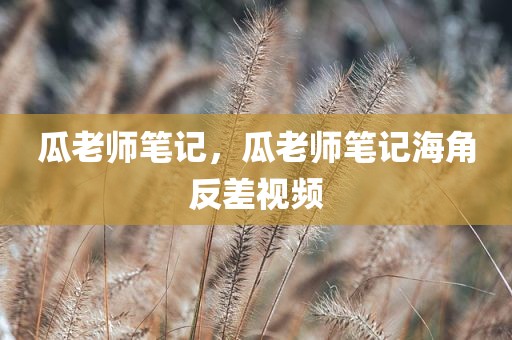 瓜老师笔记，瓜老师笔记海角反差视频