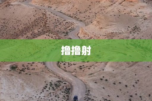撸撸射