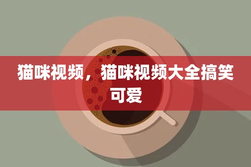猫咪视频，猫咪视频大全搞笑可爱