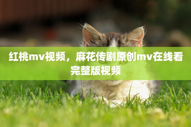 红桃mv视频，麻花传剧原创mv在线看完整版视频