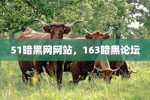 51暗黑网网站，163暗黑论坛