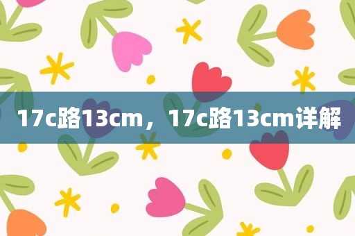 17c路13cm，17c路13cm详解