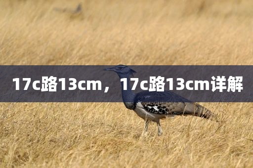 17c路13cm，17c路13cm详解