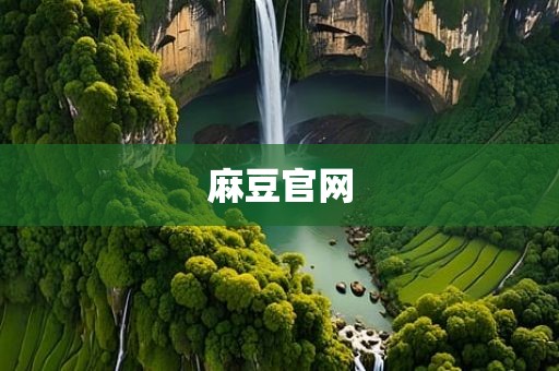 麻豆官网