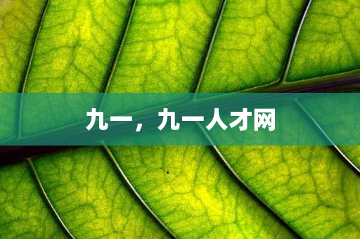 九一，九一人才网