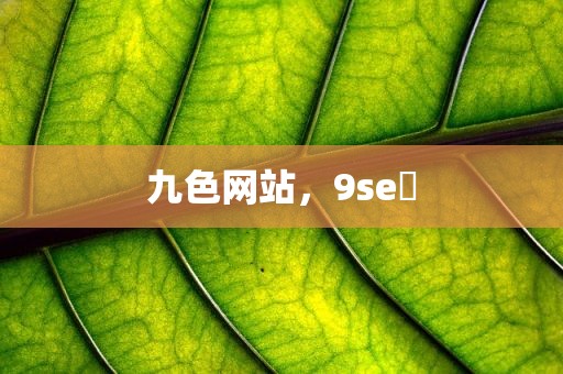 九色网站，9se 