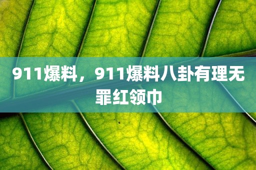 911爆料，911爆料八卦有理无罪红领巾