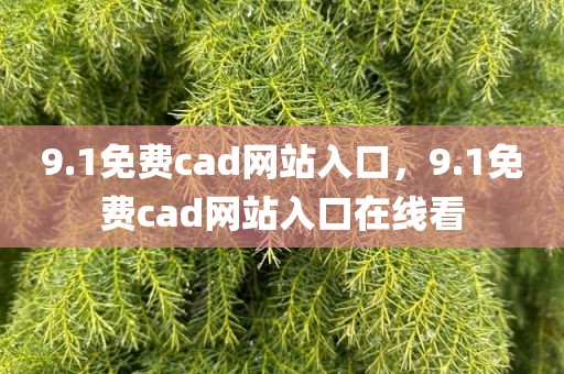 9.1免费cad网站入口，9.1免费cad网站入口在线看