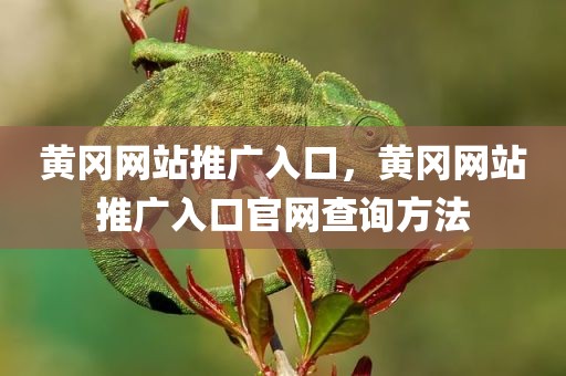 黄冈网站推广入口，黄冈网站推广入口官网查询方法