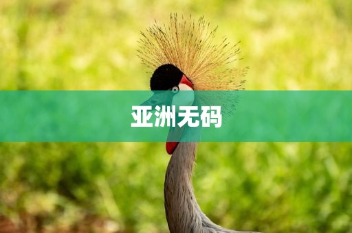 亚洲无码