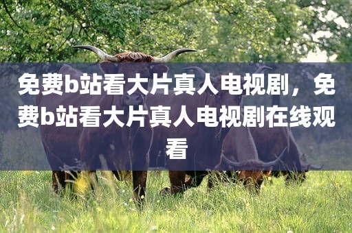 免费b站看大片真人电视剧，免费b站看大片真人电视剧在线观看