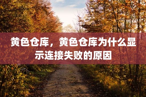 黄色仓库，黄色仓库为什么显示连接失败的原因