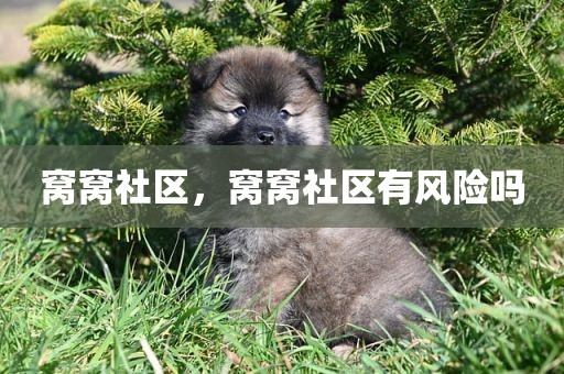 窝窝社区，窝窝社区有风险吗