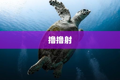 撸撸射