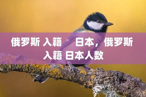 俄罗斯 入籍     日本，俄罗斯 入籍 日本人数
