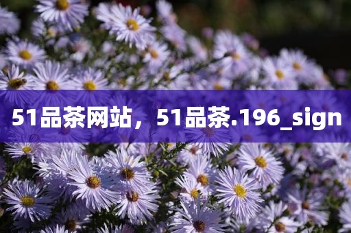 51品茶网站，51品茶.196_sign