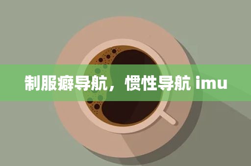 制服癖导航，惯性导航 imu