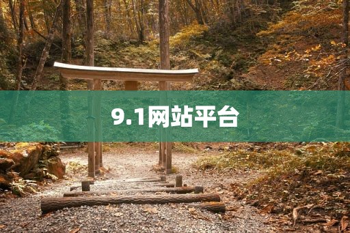 9.1网站平台