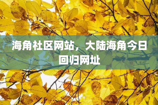 海角社区网站，大陆海角今日回归网址